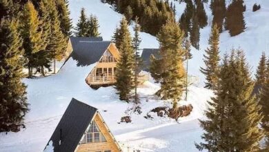 ordu bungalov ev